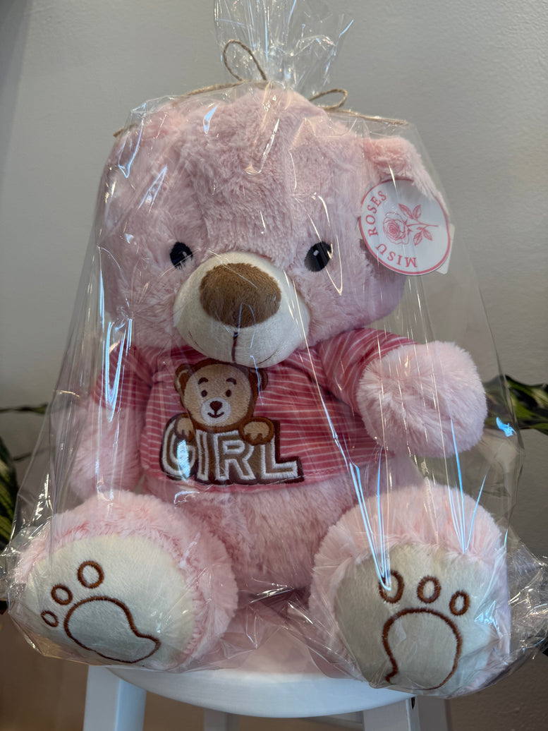Small Pink Girl Teddy Bear