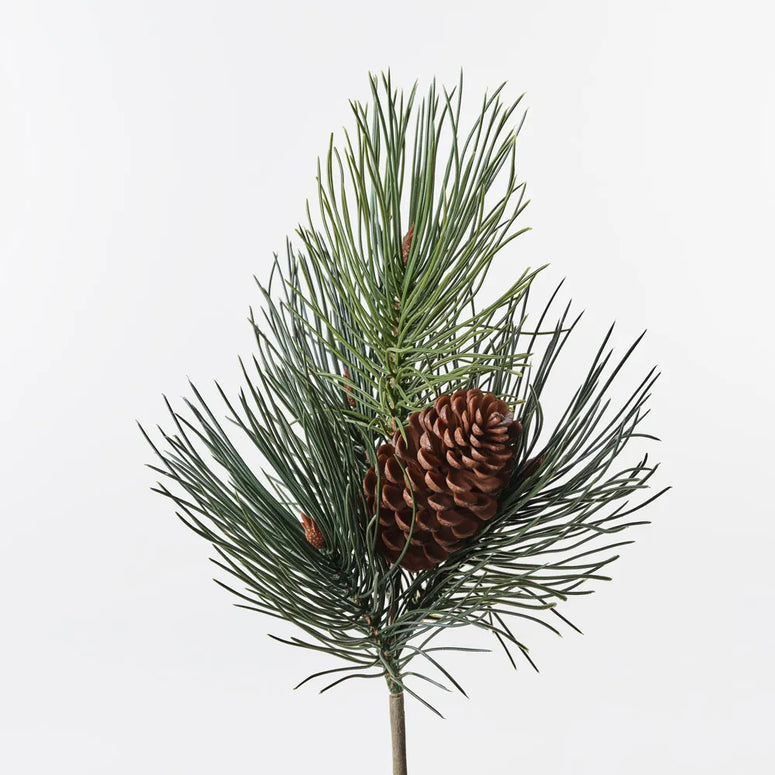 Needle Pine Cone Pick 36cm