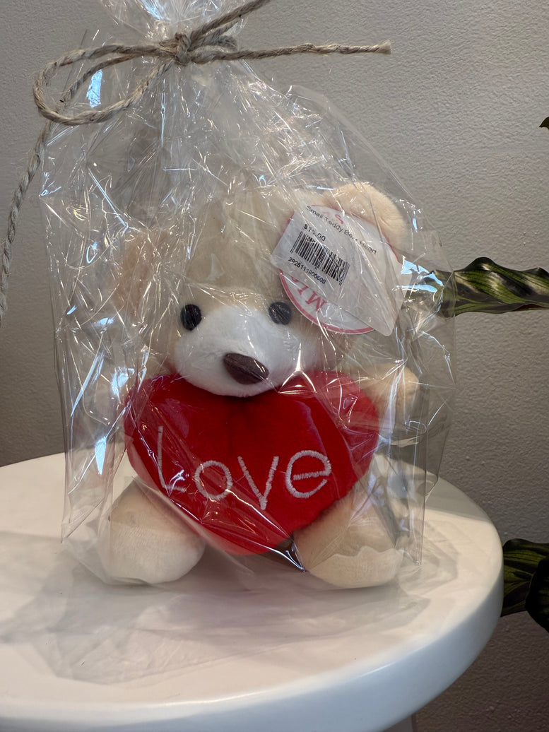 Mini Love Heart Teddy Bear 15cm