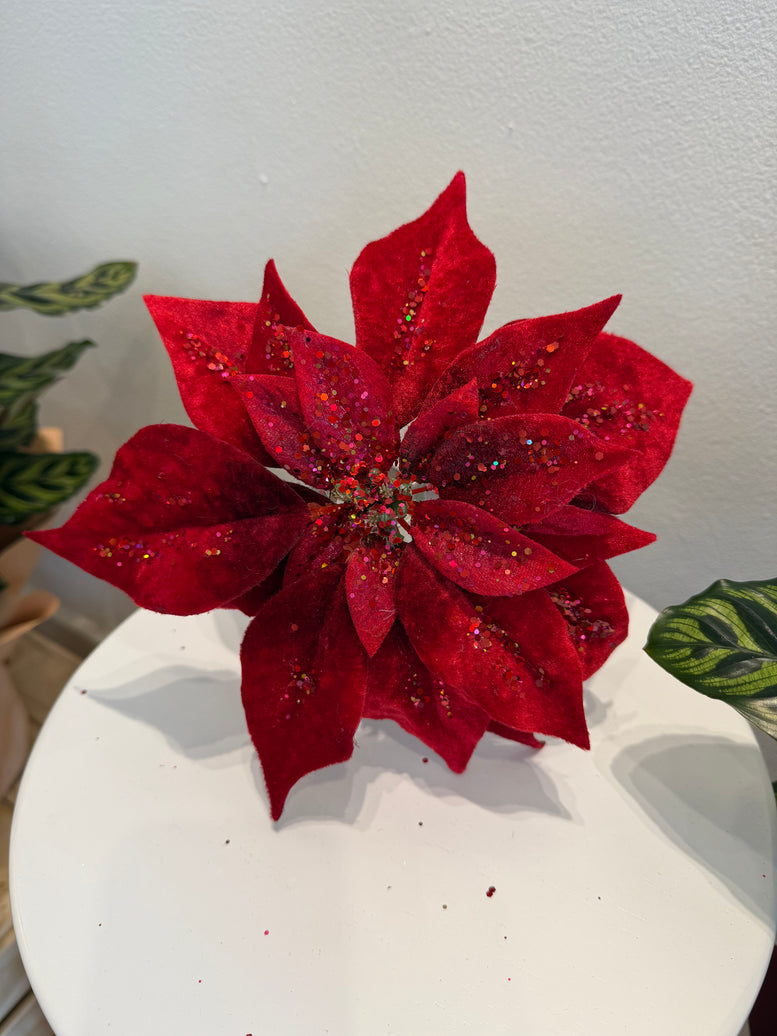 Clip Poinsettia Velvet
Red 23cmd
