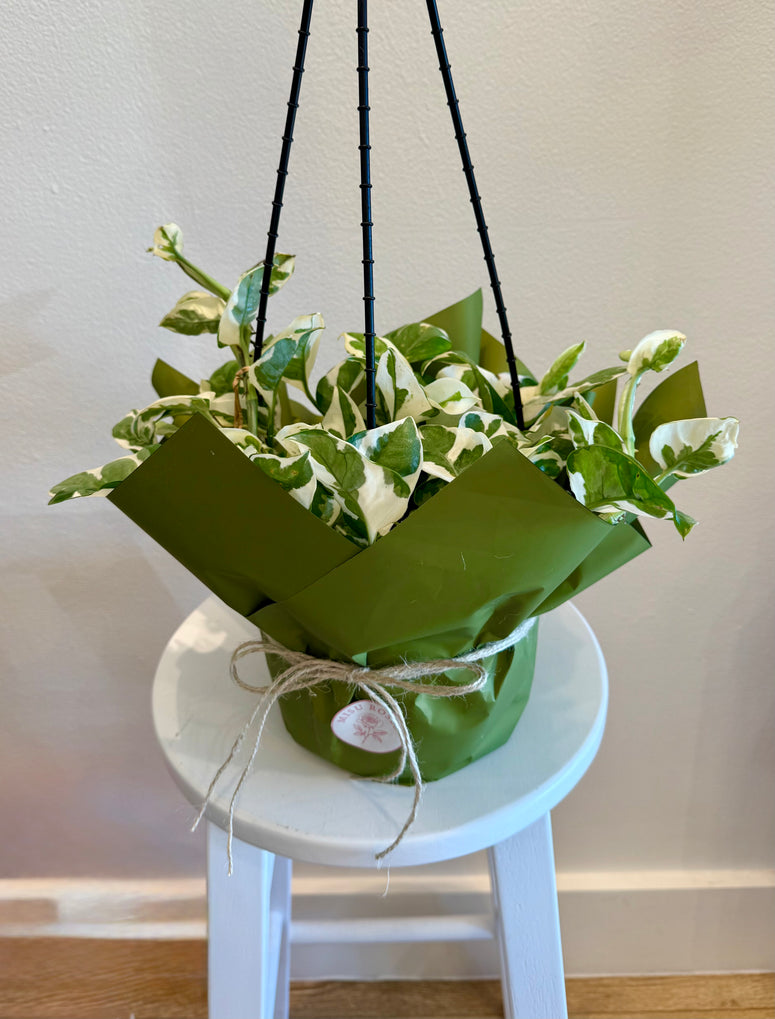 Pearls and jade basket