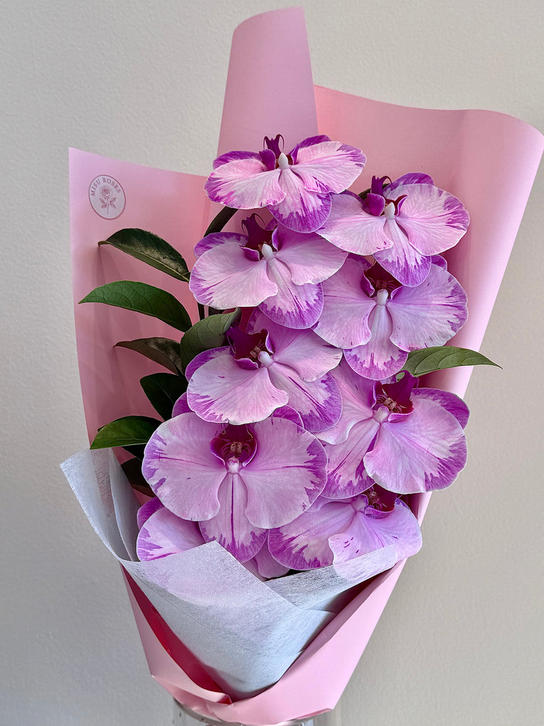 Butterfly phalaenopsis bouquet