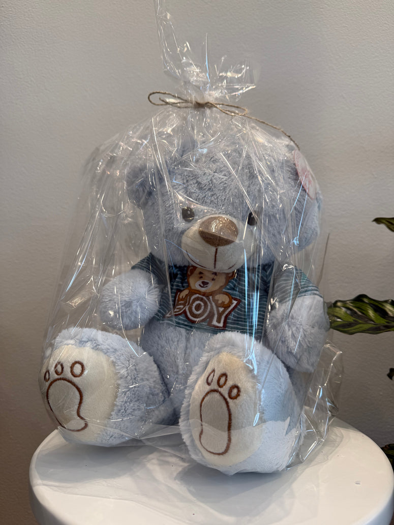 Blue Small Teddy Bear 25cm
