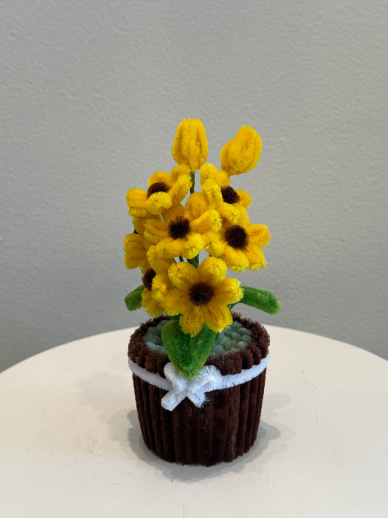 Sunshine chrisy handmade pipe cleaner