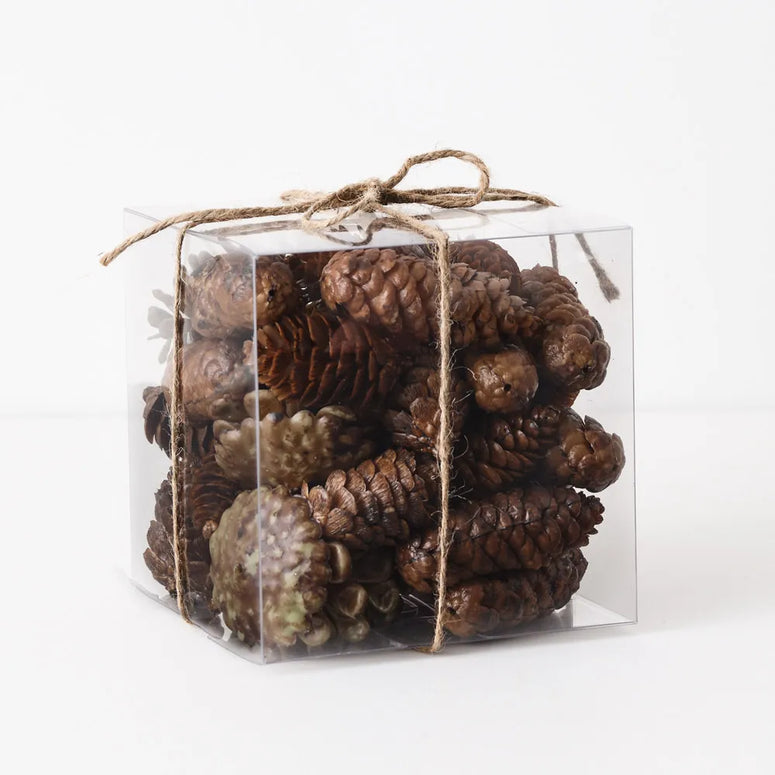 Pine Cone Mix in Box 15cmx15cm