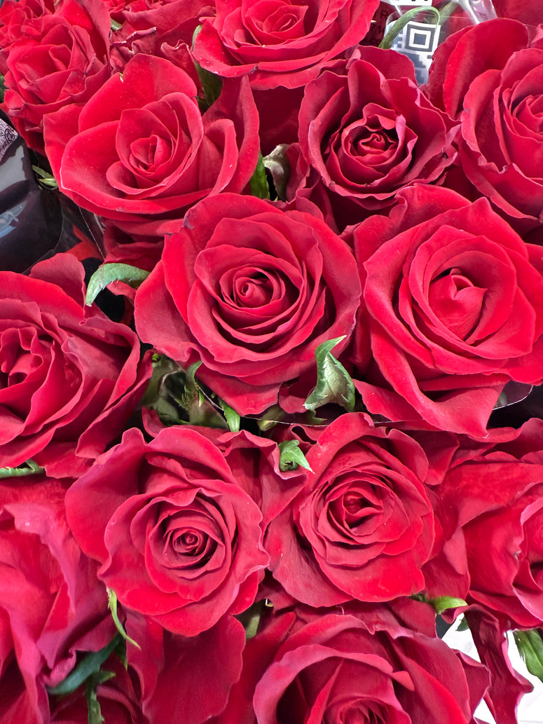Dozen Red Rose Bouquet