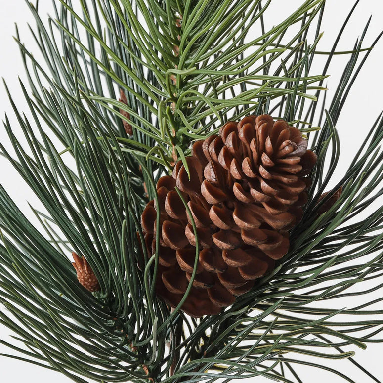 Needle Pine Cone Pick 36cm