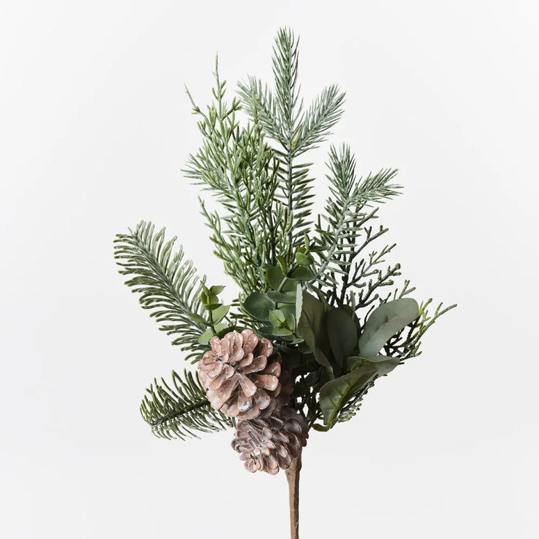 Pine Cone Mix Pick